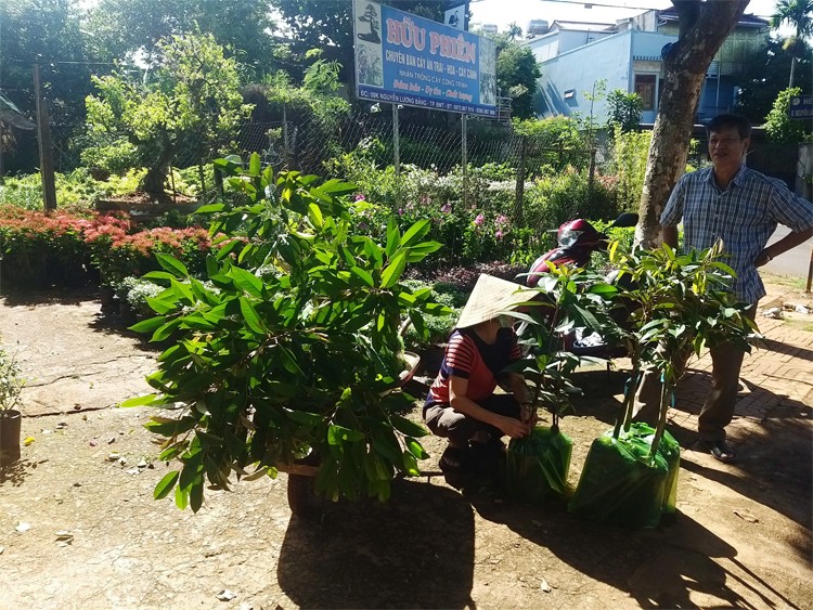 Giá nông sản hôm nay ngày 10/6/2024: Tiêu trong nước không ngừng tăng; hoa quả tăng giá trong Tết Đoan ngọ Giá nông sản hôm nay ngày 10/6/2024: Tiêu trong nước không ngừng tăng; hoa quả tăng giá trong Tết Đoan ngọ