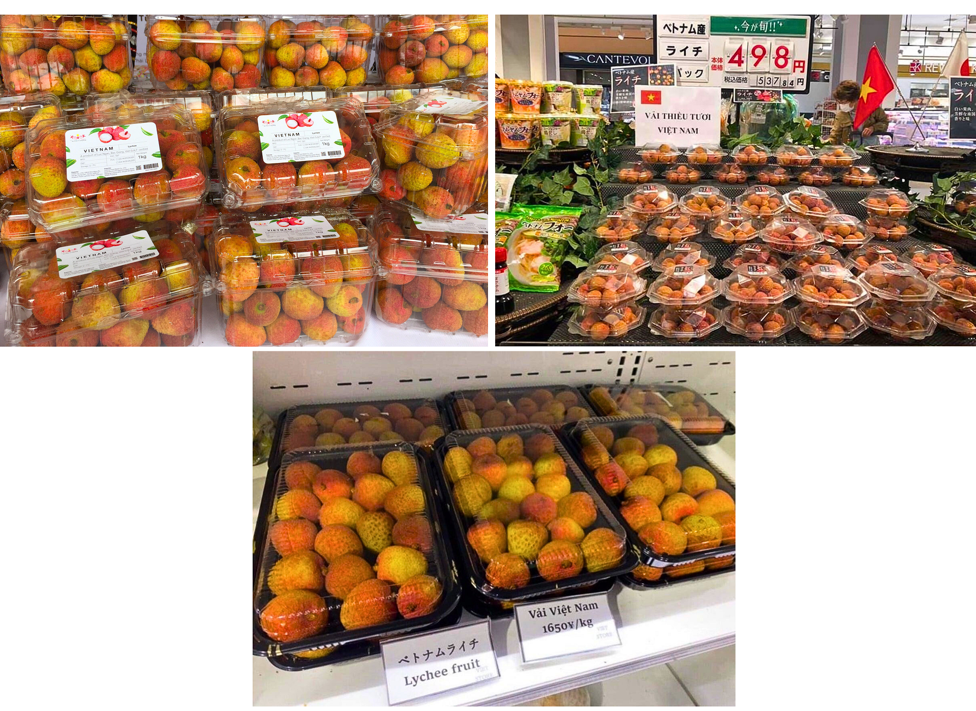 Longform | Kỳ vọng một mùa vải “ngọt” Longform | Kỳ vọng một mùa vải “ngọt”