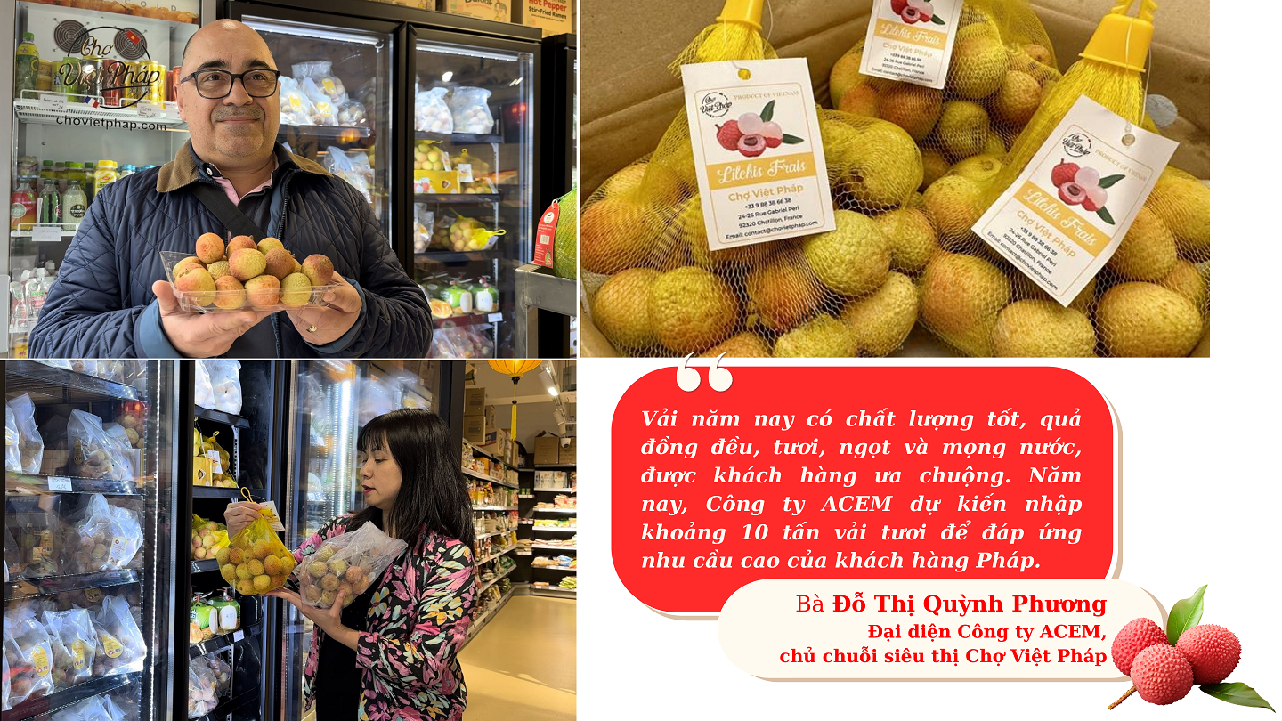 Longform | Kỳ vọng một mùa vải “ngọt” Longform | Kỳ vọng một mùa vải “ngọt”