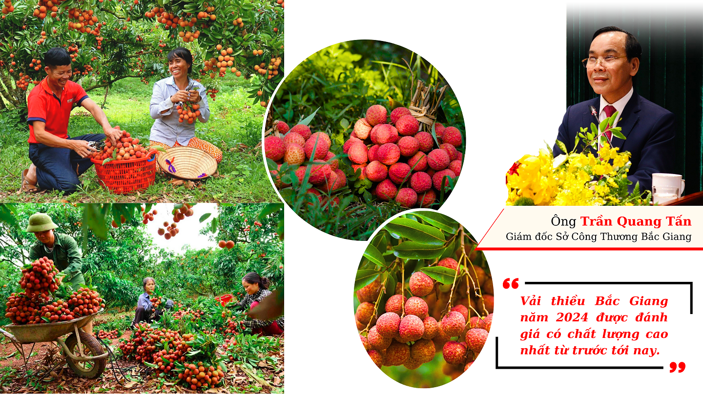 Longform | Kỳ vọng một mùa vải “ngọt” Longform | Kỳ vọng một mùa vải “ngọt”