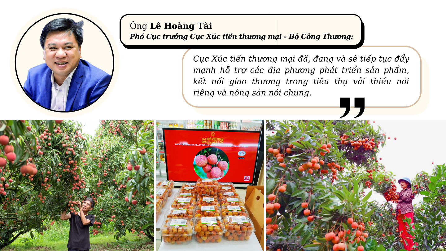 Longform | Kỳ vọng một mùa vải “ngọt” Longform | Kỳ vọng một mùa vải “ngọt”