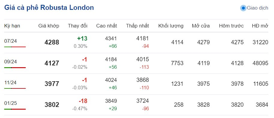 Giá cà phê hôm nay ngày 11/6/2024: Giá cà phê hôm nay ngày 11/6/2024: