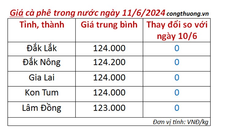 Giá cà phê hôm nay ngày 11/6/2024: Giá cà phê hôm nay ngày 11/6/2024: