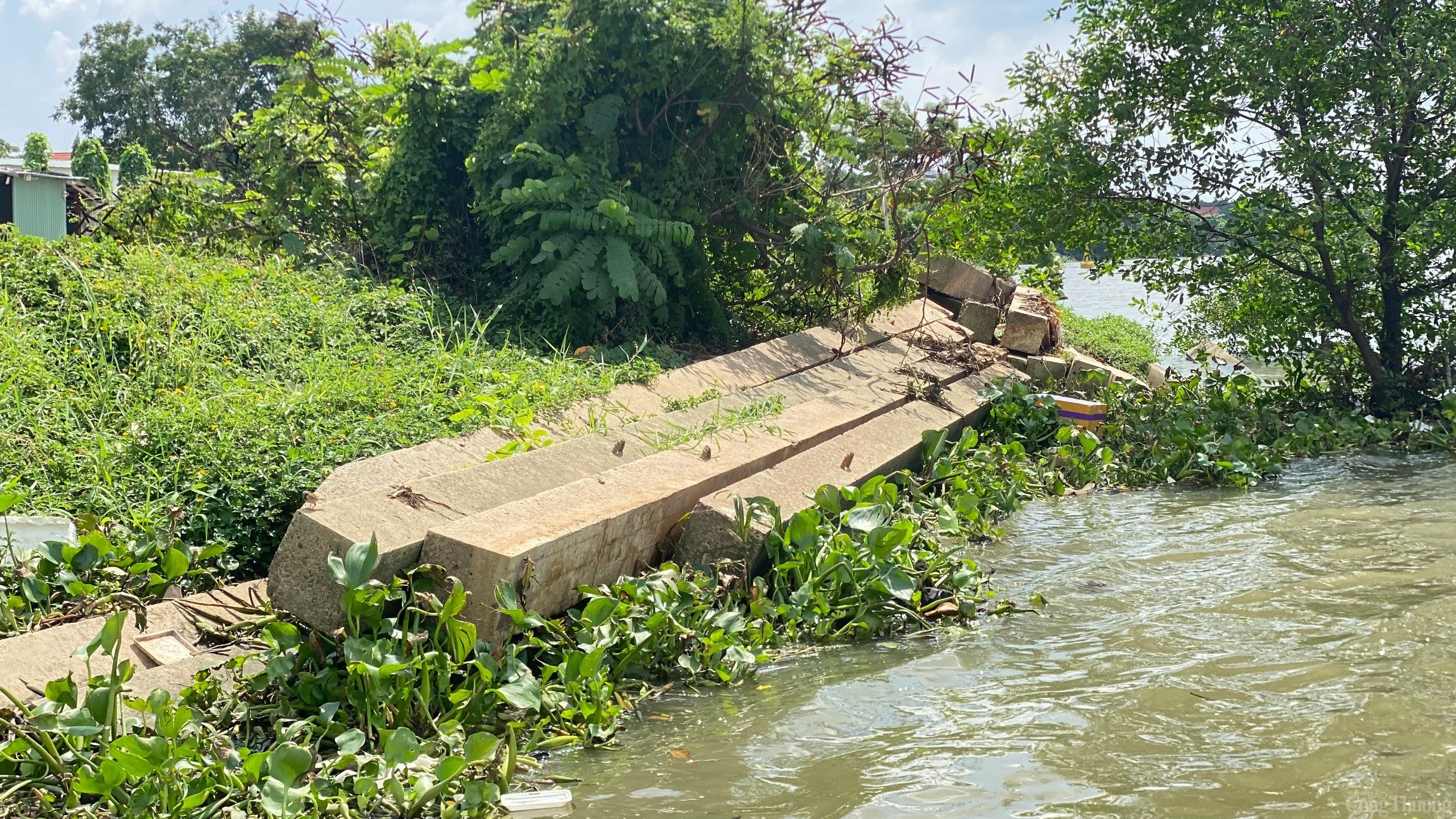 TP. Hồ Chí Minh: Cận cảnh công trình dang dở của Tập đoàn Anh Vinh tại bán đảo Thanh Đa