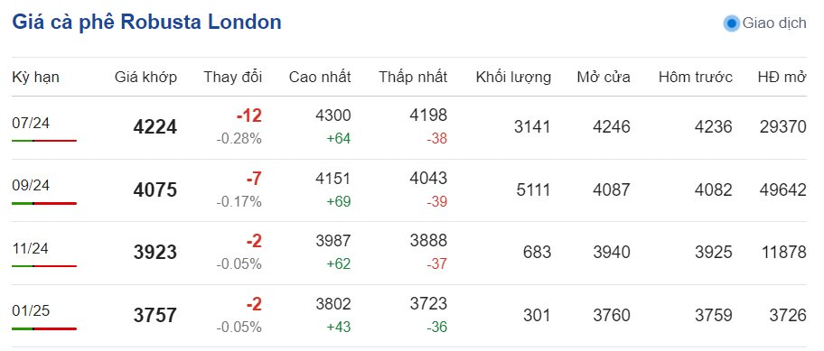 Giá cà phê hôm nay ngày 12/6/2024: Giá cà phê hôm nay ngày 12/6/2024: