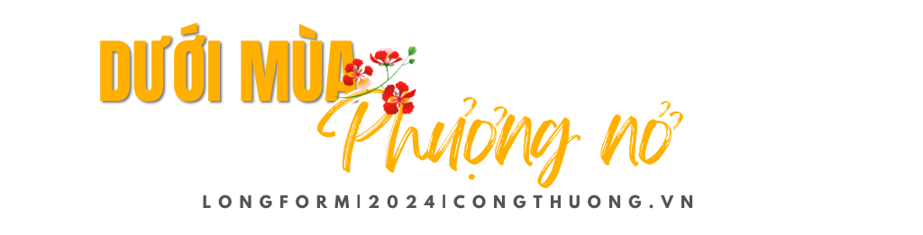 Longform|Điện Biên: Hành trình biến di sản thành tài sản trên vùng chiến địa -Bài 1: Về miền di tích lịch sử Longform|Điện Biên: Hành trình biến di sản thành tài sản trên vùng chiến địa -Bài 1: Về miền di tích lịch sử