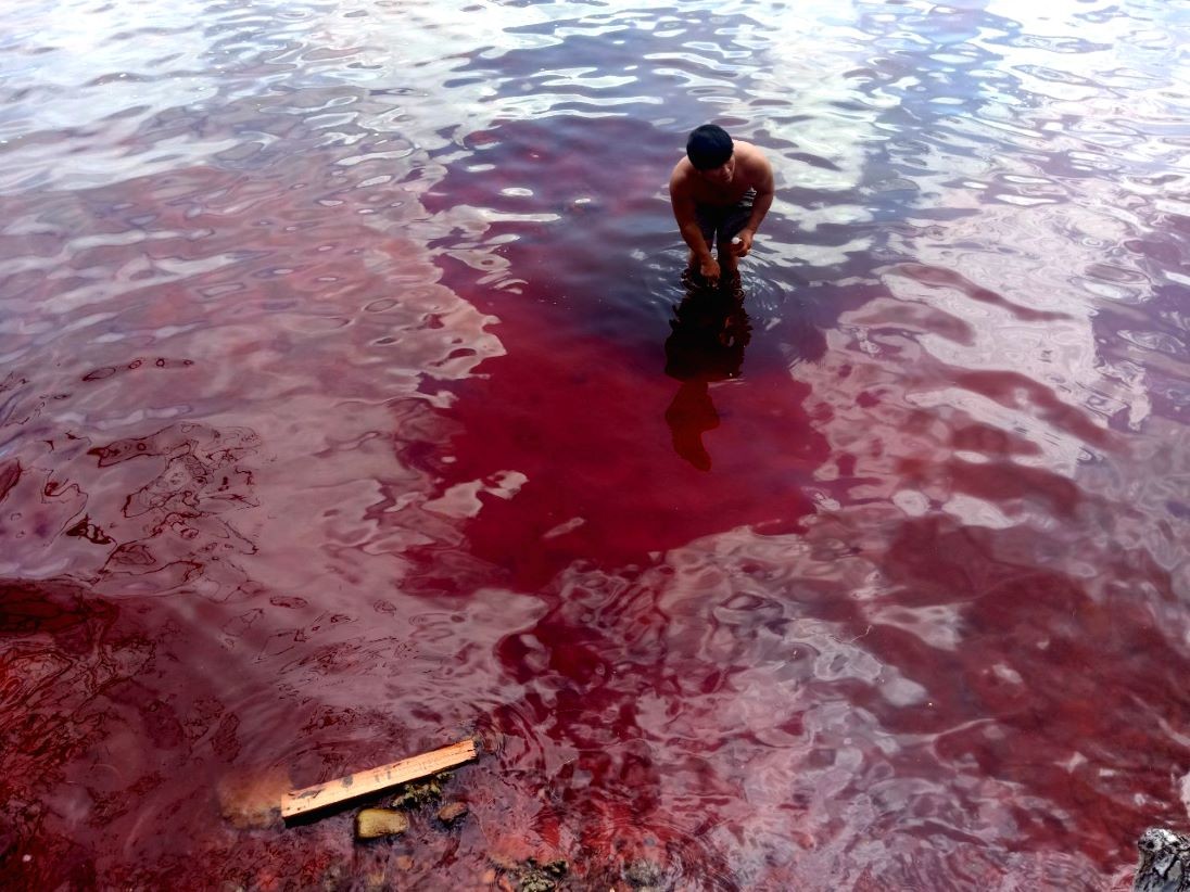 Người dân địa phương bước xuống vùng biển chuyển màu để kiểm tra, theo dõi. Ảnh: Người dân cung cấp Người dân địa phương bước xuống vùng biển chuyển màu để kiểm tra, theo dõi. Ảnh: Người dân cung cấp