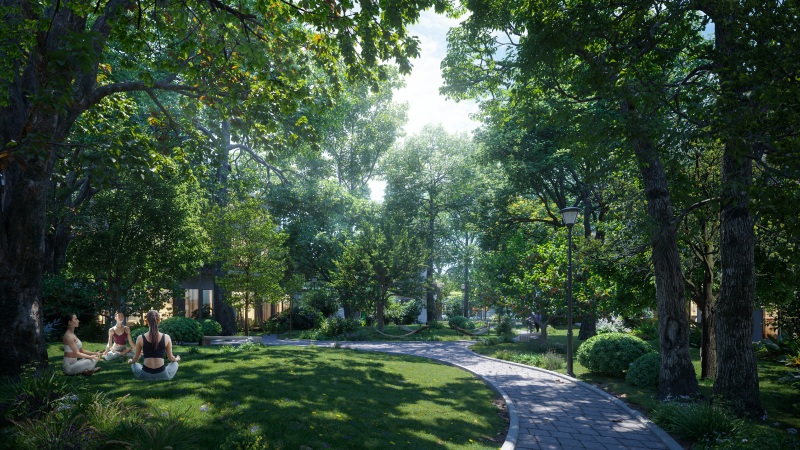 Tắm thiên nhiên tại Blue Forest Tắm thiên nhiên tại Blue Forest