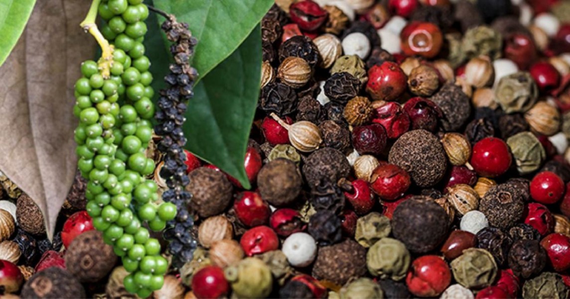 Dự báo giá tiêu ngày 22/7/2024: Dự báo giá tiêu ngày 22/7/2024: