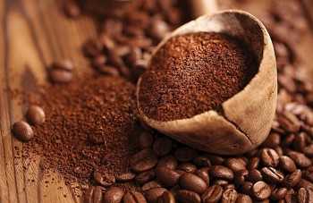 Dự báo giá cà phê ngày 14/6/2024: Quay đầu tăng mạnh trở lại?