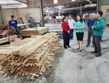 Lào Cai: Sắp xếp, đổi mới nâng cao hiệu quả hoạt động doanh nghiệp nhà nước