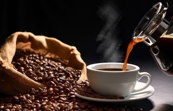 Đồng USD hạ nhiệt giúp giá cà phê tăng trở lại