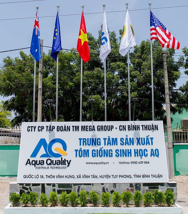 Trung Tâm Sản Xuất Tôm Giống Sinh Học AQ của GMG Group Trung Tâm Sản Xuất Tôm Giống Sinh Học AQ của GMG Group