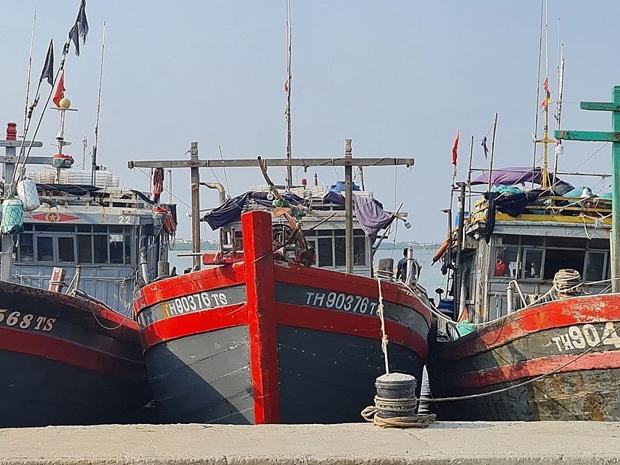 Thanh Hóa: Quyết tâm cùng với cả nước để sớm được gỡ bỏ thẻ vàng IUU Thanh Hóa: Quyết tâm cùng với cả nước để sớm được gỡ bỏ thẻ vàng IUU