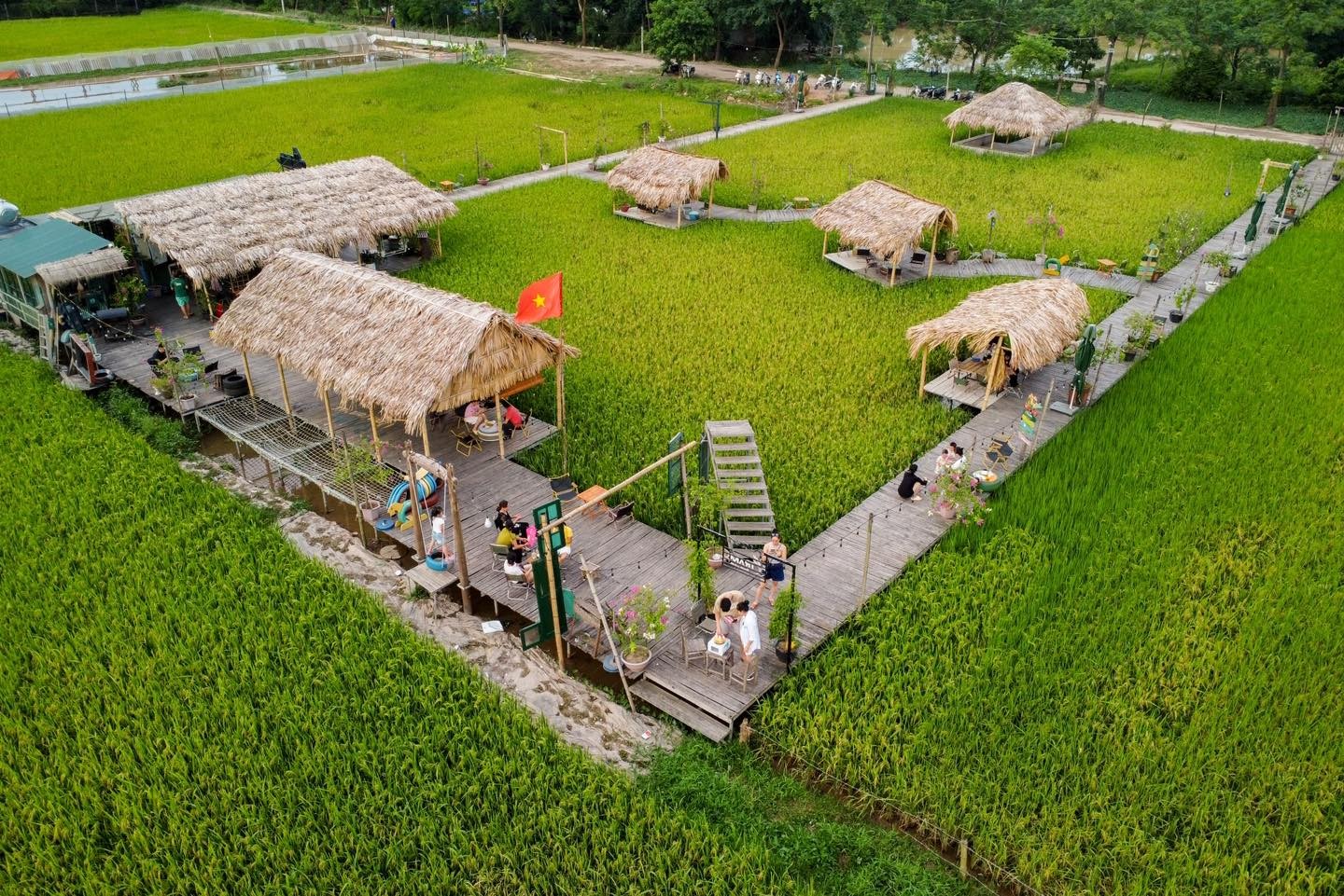 Độc lạ quán cà phê ruộng lúa chữa lành cực chill ngay ở Hà Nội Độc lạ quán cà phê ruộng lúa chữa lành cực chill ngay ở Hà Nội