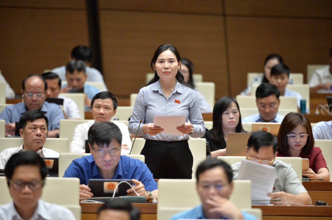 đại biểu Âu Thị Mai - đoàn Tuyên Quang  đại biểu Âu Thị Mai - đoàn Tuyên Quang