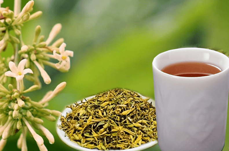 Hoa đu đủ đực là một vị thuốc quen thuộc trong Y học cổ truyền Việt Nam Hoa đu đủ đực là một vị thuốc quen thuộc trong Y học cổ truyền Việt Nam