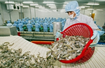 Lấy lại đà cho xuất khẩu tôm những tháng cuối năm
