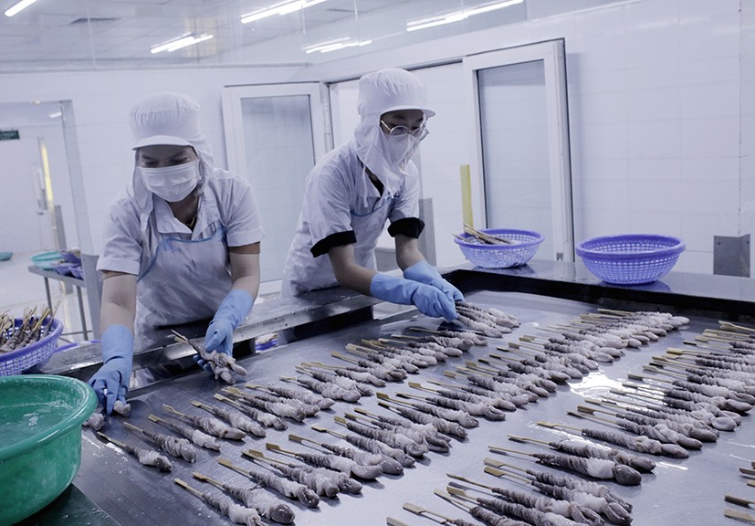 Công nhân Công ty TNHH Ngọc Tùng chế biến mực xuất khẩu - Ảnh: Đông Hiếu Công nhân Công ty TNHH Ngọc Tùng chế biến mực xuất khẩu - Ảnh: Đông Hiếu