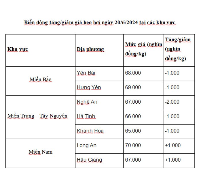Giá heo hơi hôm nay ngày 20/6/2024: Giảm nhẹ ở nhiều địa phương Giá heo hơi hôm nay ngày 20/6/2024: Giảm nhẹ ở nhiều địa phương