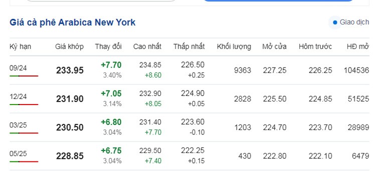 Dự báo giá cà phê ngày 21/6/2024: Giá cà phê tiếp tục neo cao?