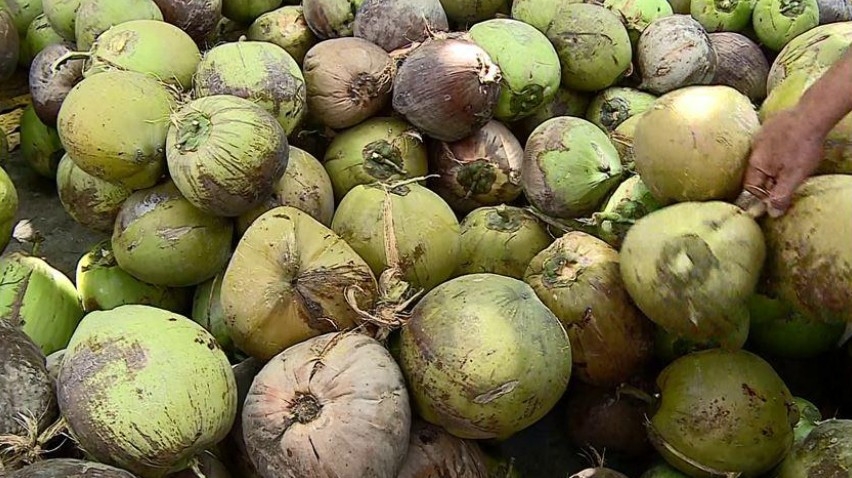 Giá nông sản hôm nay ngày 21/6/2024: Giá tiêu tăng nhẹ tại miền Đông Nam Bộ; quýt Úc nhập khẩu giá rẻ Giá nông sản hôm nay ngày 21/6/2024: Giá tiêu tăng nhẹ tại miền Đông Nam Bộ; quýt Úc nhập khẩu giá rẻ