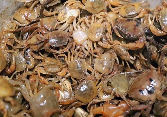 Ảnh minh họa Ảnh minh họa