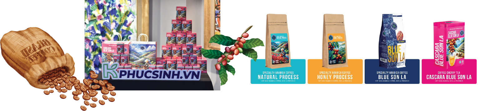 Longform | Đầu tư chế biến sâu: Mở “cánh cửa” tiêu thụ bền vững cho nông sản Sơn La Longform | Đầu tư chế biến sâu: Mở “cánh cửa” tiêu thụ bền vững cho nông sản Sơn La