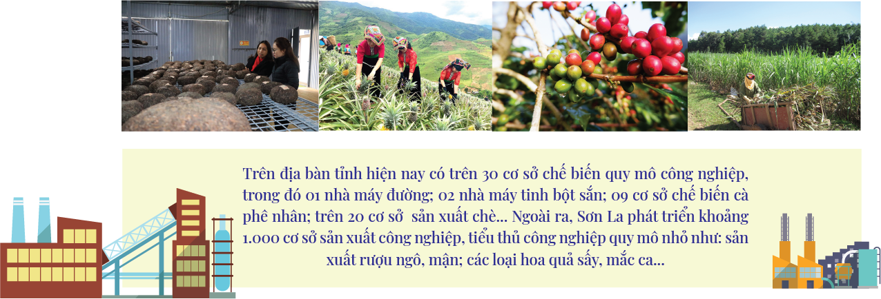Longform | Đầu tư chế biến sâu: Mở “cánh cửa” tiêu thụ bền vững cho nông sản Sơn La Longform | Đầu tư chế biến sâu: Mở “cánh cửa” tiêu thụ bền vững cho nông sản Sơn La