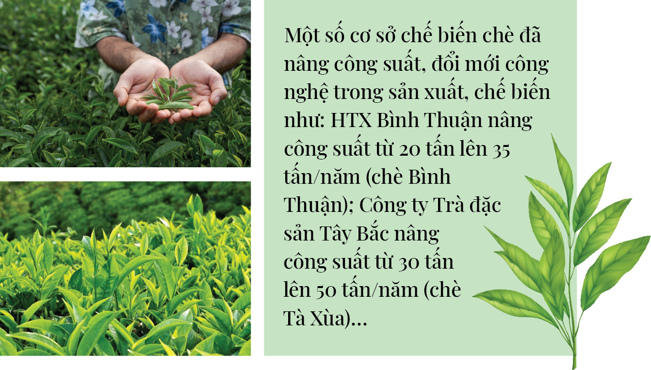 Longform | Đầu tư chế biến sâu: Mở “cánh cửa” tiêu thụ bền vững cho nông sản Sơn La Longform | Đầu tư chế biến sâu: Mở “cánh cửa” tiêu thụ bền vững cho nông sản Sơn La