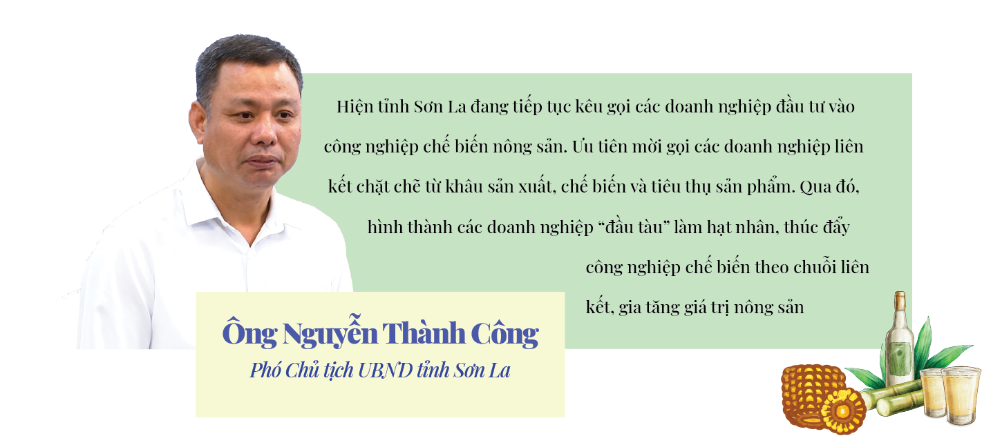 Longform | Đầu tư chế biến sâu: Mở “cánh cửa” tiêu thụ bền vững cho nông sản Sơn La Longform | Đầu tư chế biến sâu: Mở “cánh cửa” tiêu thụ bền vững cho nông sản Sơn La