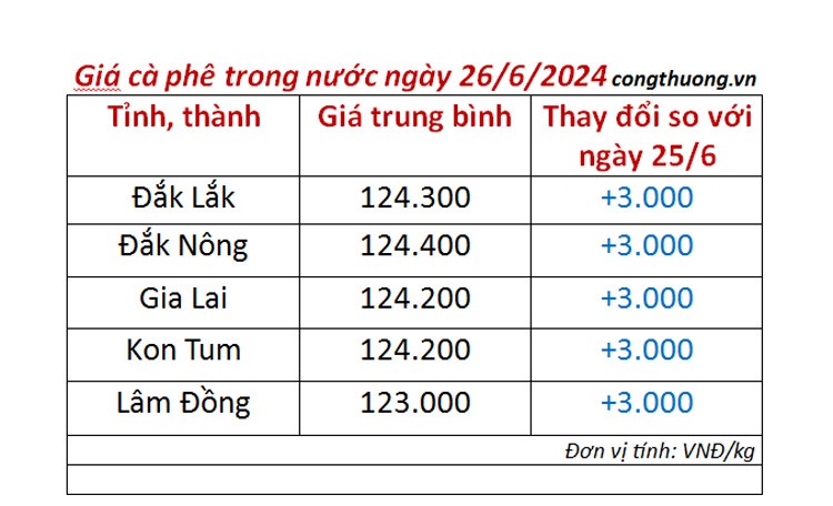 Giá cà phê hôm nay 26/6/2024: Giá cà phê hôm nay 26/6/2024: