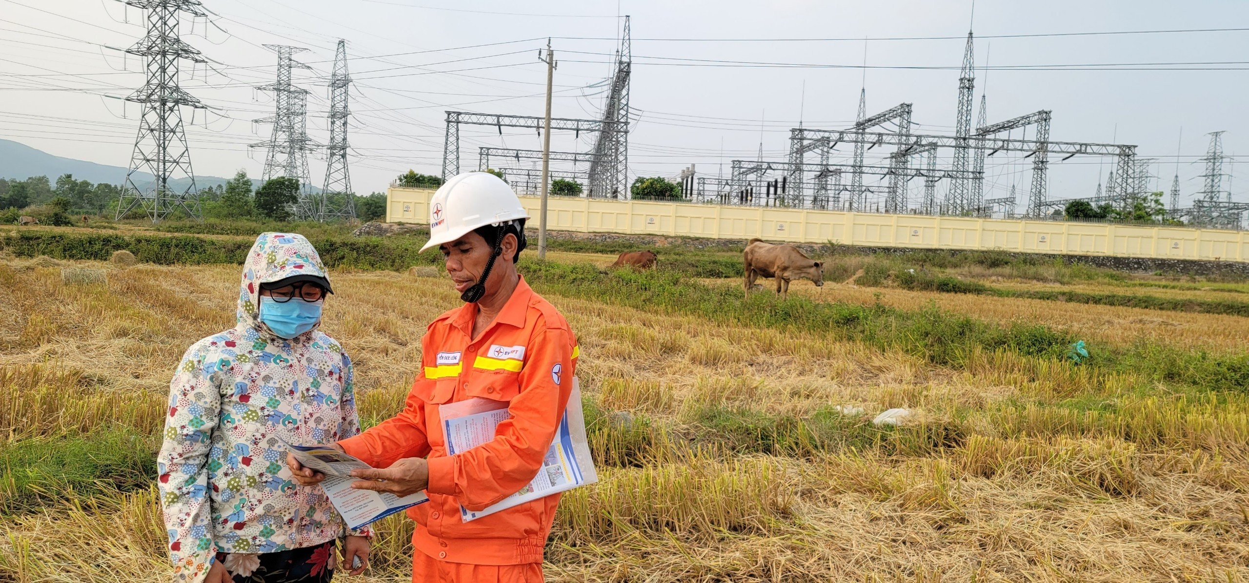 Người Đảng viên xung phong hỗ trợ dự án đường dây 500kV mạch 3