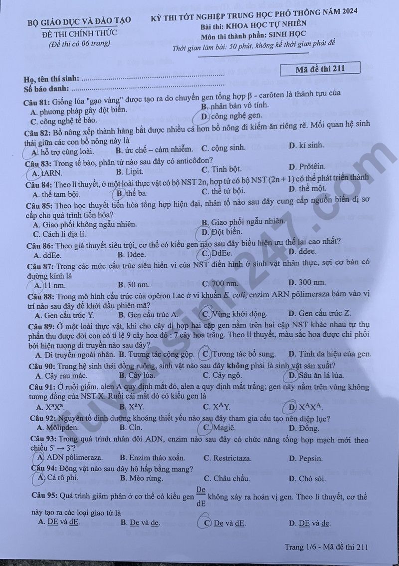 Dap an de thi mon Sinh ma de 211 - Tot nghiep THPT 2024