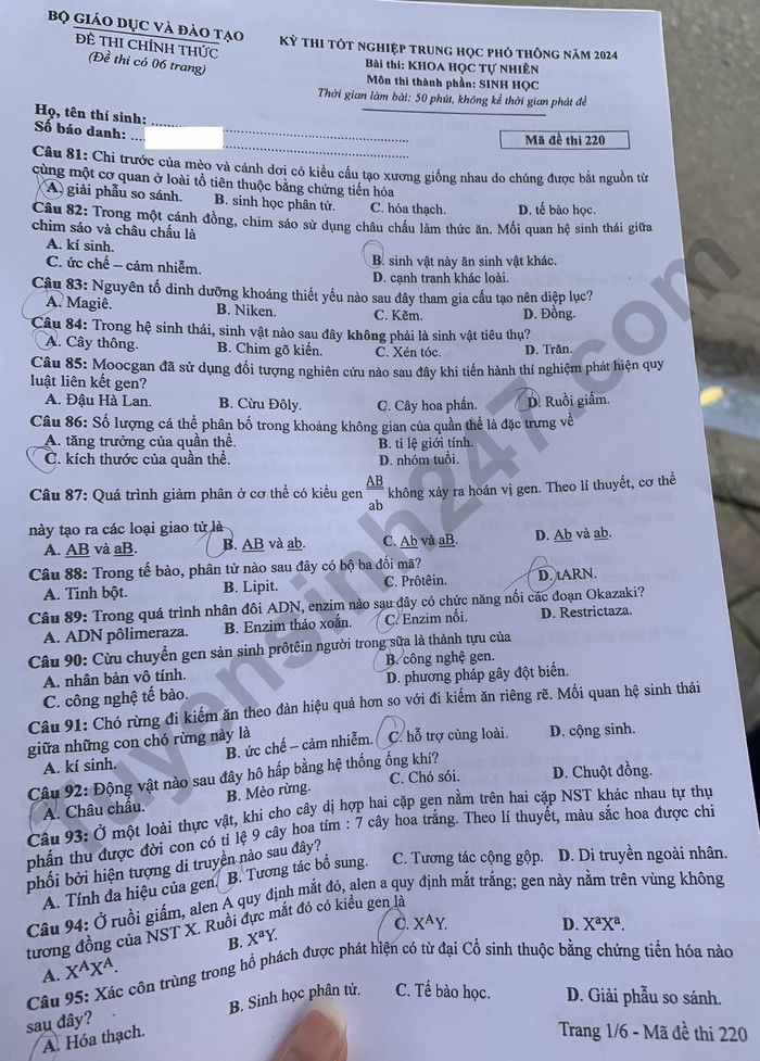 Dap an de thi mon Sinh ma de 220 tot nghiep THPT 2024