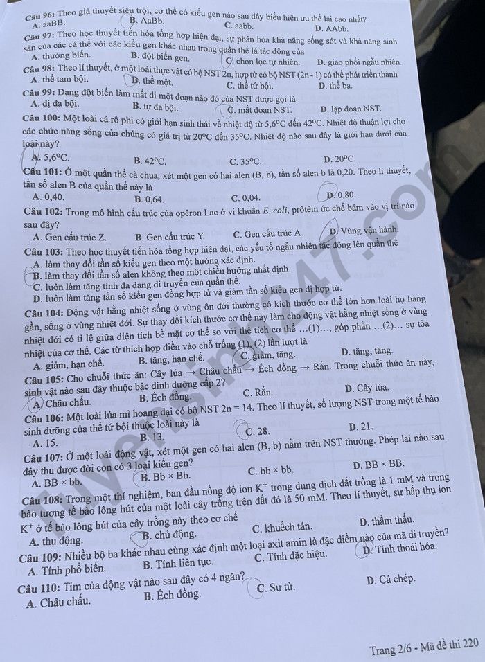 Dap an de thi mon Sinh ma de 220 tot nghiep THPT 2024