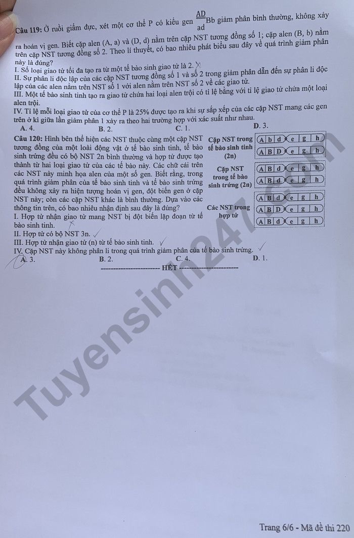 Dap an de thi mon Sinh ma de 220 tot nghiep THPT 2024