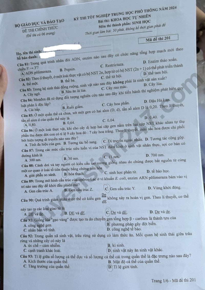 Cập nhật đề thi và đáp án môn Sinh học mã 201 kỳ thi tốt nghiệp THPT 2024 Cập nhật đề thi và đáp án môn Sinh học mã 201 kỳ thi tốt nghiệp THPT 2024