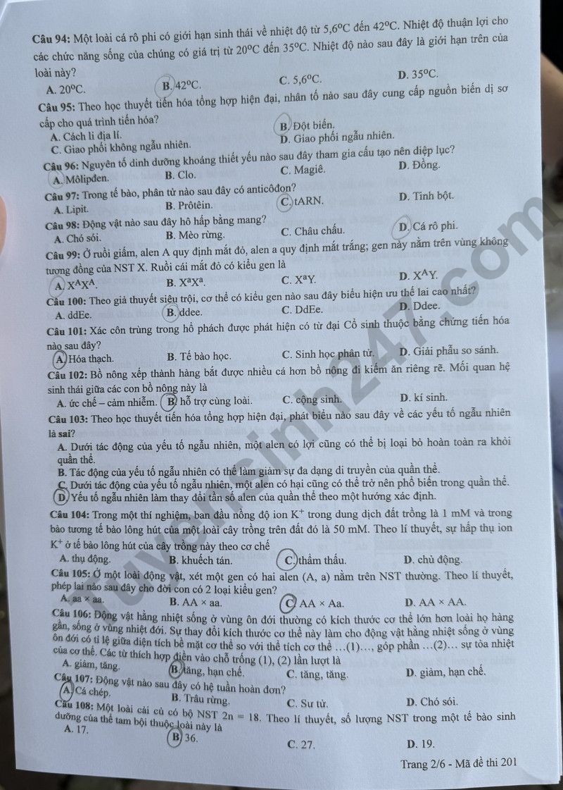Cập nhật đề thi và đáp án môn Sinh học mã 201 kỳ thi tốt nghiệp THPT 2024 Cập nhật đề thi và đáp án môn Sinh học mã 201 kỳ thi tốt nghiệp THPT 2024