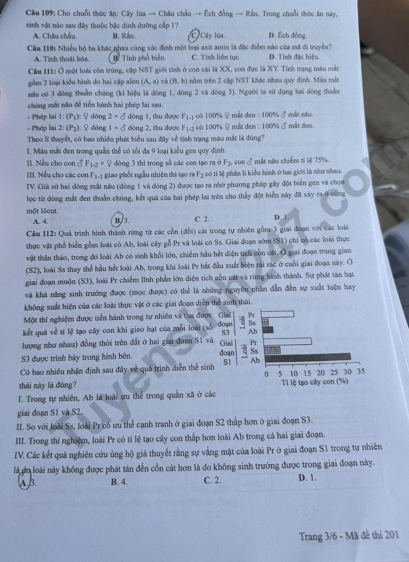 Cập nhật đề thi và đáp án môn Sinh học mã 201 kỳ thi tốt nghiệp THPT 2024 Cập nhật đề thi và đáp án môn Sinh học mã 201 kỳ thi tốt nghiệp THPT 2024