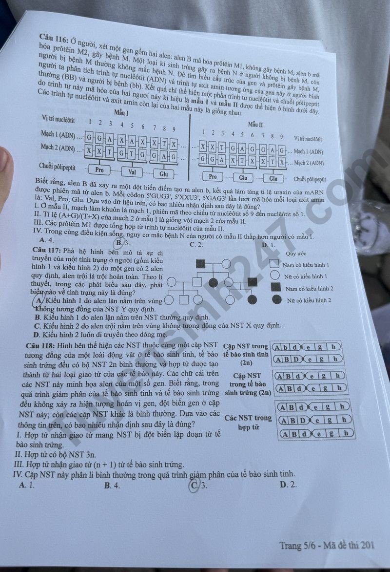 Cập nhật đề thi và đáp án môn Sinh học mã 201 kỳ thi tốt nghiệp THPT 2024 Cập nhật đề thi và đáp án môn Sinh học mã 201 kỳ thi tốt nghiệp THPT 2024