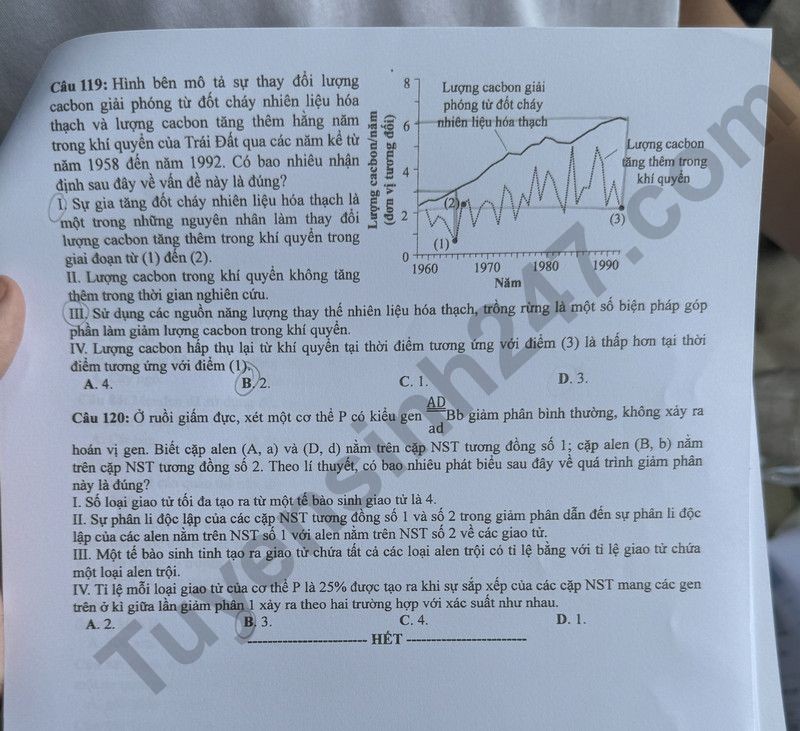 Cập nhật đề thi và đáp án môn Sinh học mã 201 kỳ thi tốt nghiệp THPT 2024 Cập nhật đề thi và đáp án môn Sinh học mã 201 kỳ thi tốt nghiệp THPT 2024