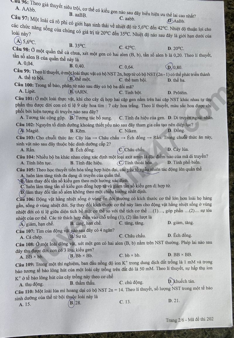 Cập nhật đề thi và đáp án môn Sinh học mã 202 kỳ thi tốt nghiệp THPT 2024 Cập nhật đề thi và đáp án môn Sinh học mã 202 kỳ thi tốt nghiệp THPT 2024