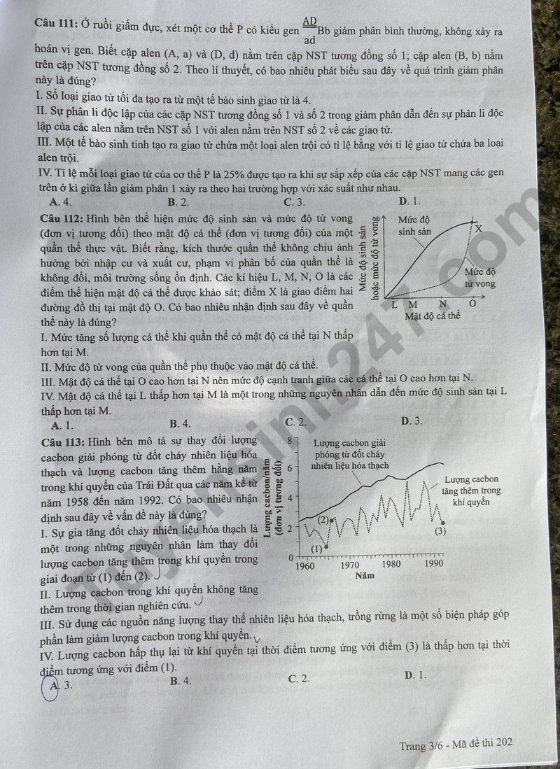 Cập nhật đề thi và đáp án môn Sinh học mã 202 kỳ thi tốt nghiệp THPT 2024 Cập nhật đề thi và đáp án môn Sinh học mã 202 kỳ thi tốt nghiệp THPT 2024