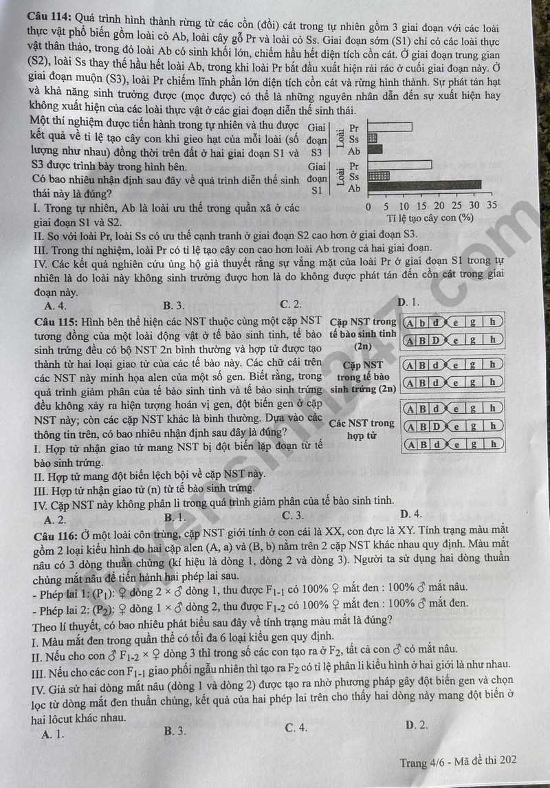 Cập nhật đề thi và đáp án môn Sinh học mã 202 kỳ thi tốt nghiệp THPT 2024 Cập nhật đề thi và đáp án môn Sinh học mã 202 kỳ thi tốt nghiệp THPT 2024