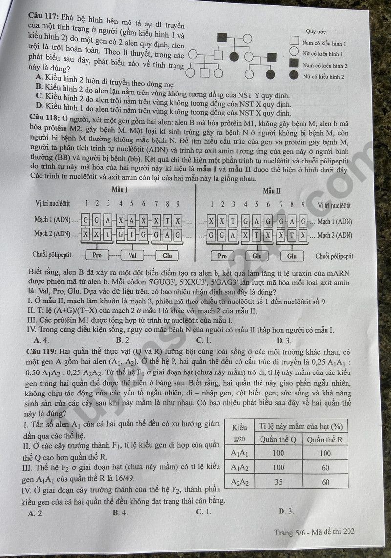 Cập nhật đề thi và đáp án môn Sinh học mã 202 kỳ thi tốt nghiệp THPT 2024 Cập nhật đề thi và đáp án môn Sinh học mã 202 kỳ thi tốt nghiệp THPT 2024