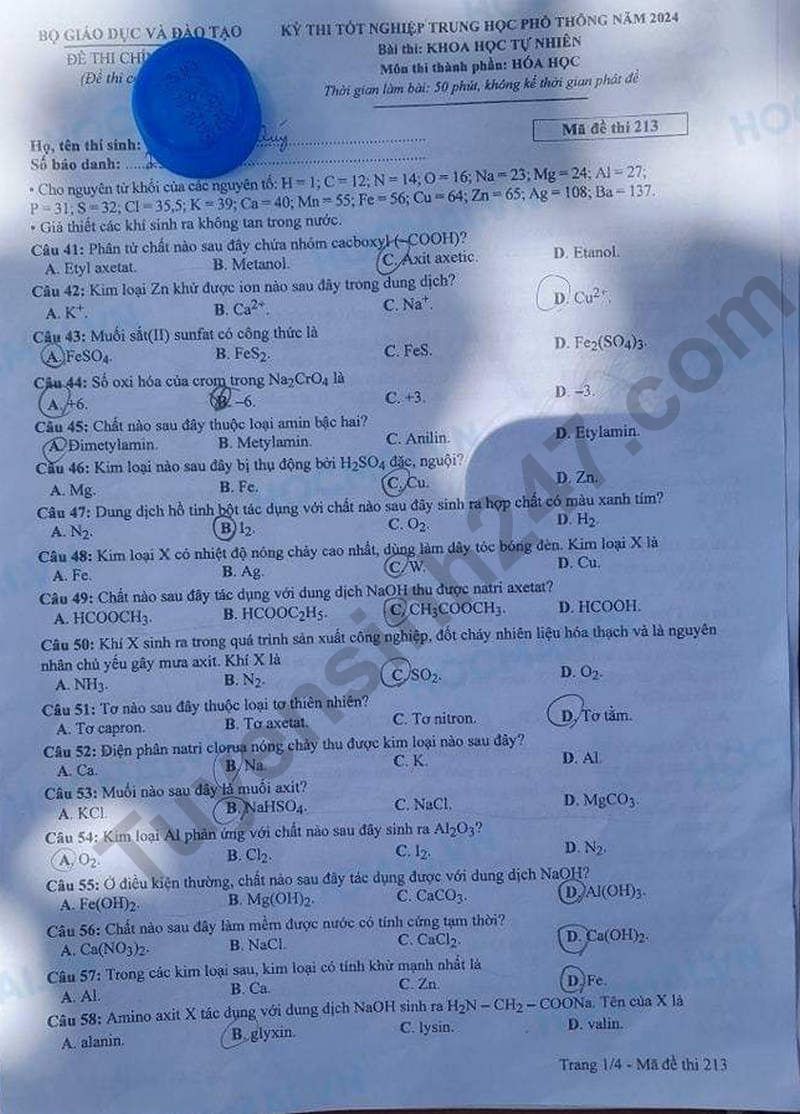 Dap an de thi mon Hoa ma de 213 tot nghiep THPT 2024