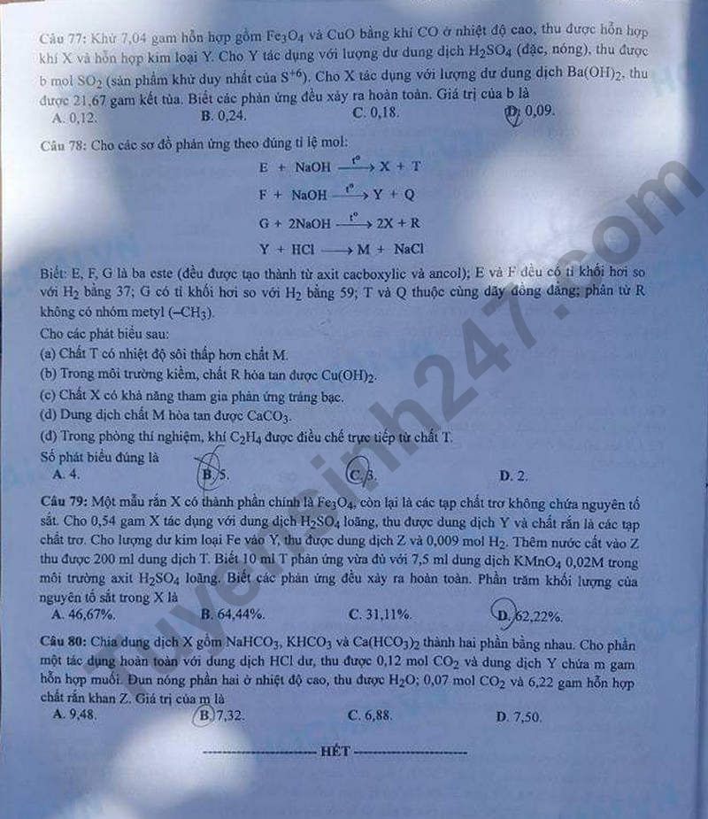 Dap an de thi mon Hoa ma de 213 tot nghiep THPT 2024