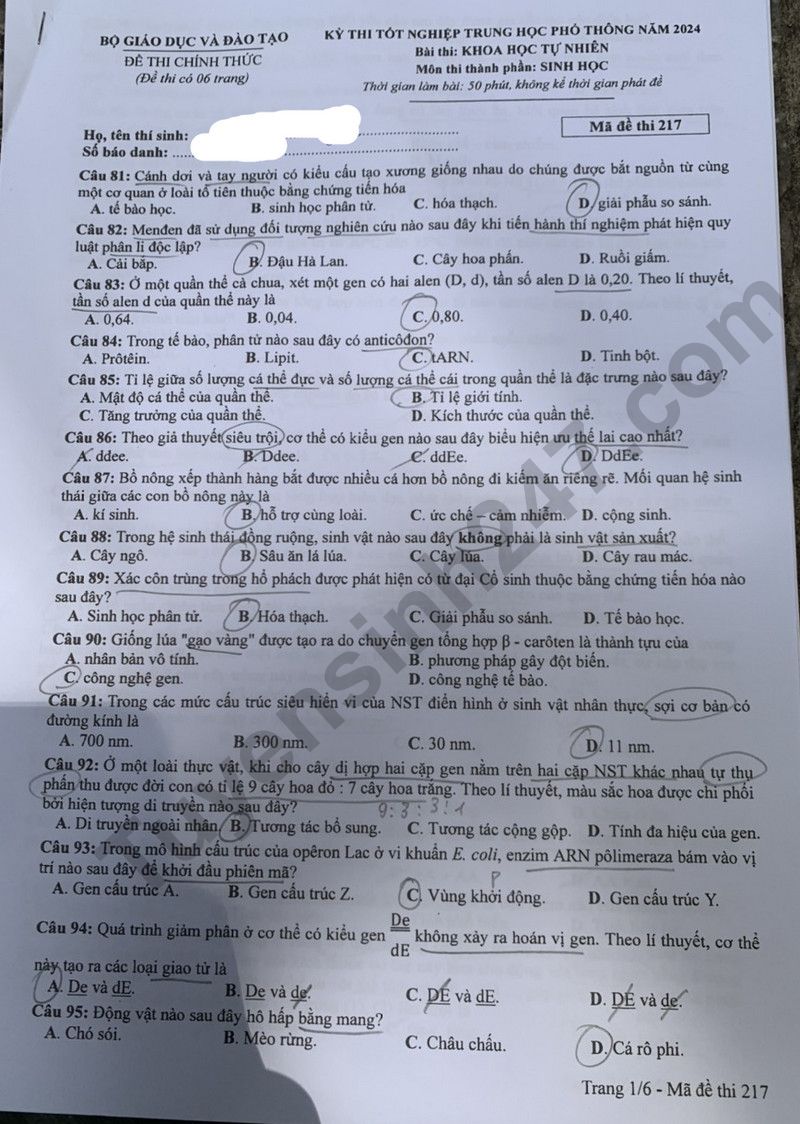 Dap an de thi tot nghiep THPT nam 2024 - mon Sinh ma de 217