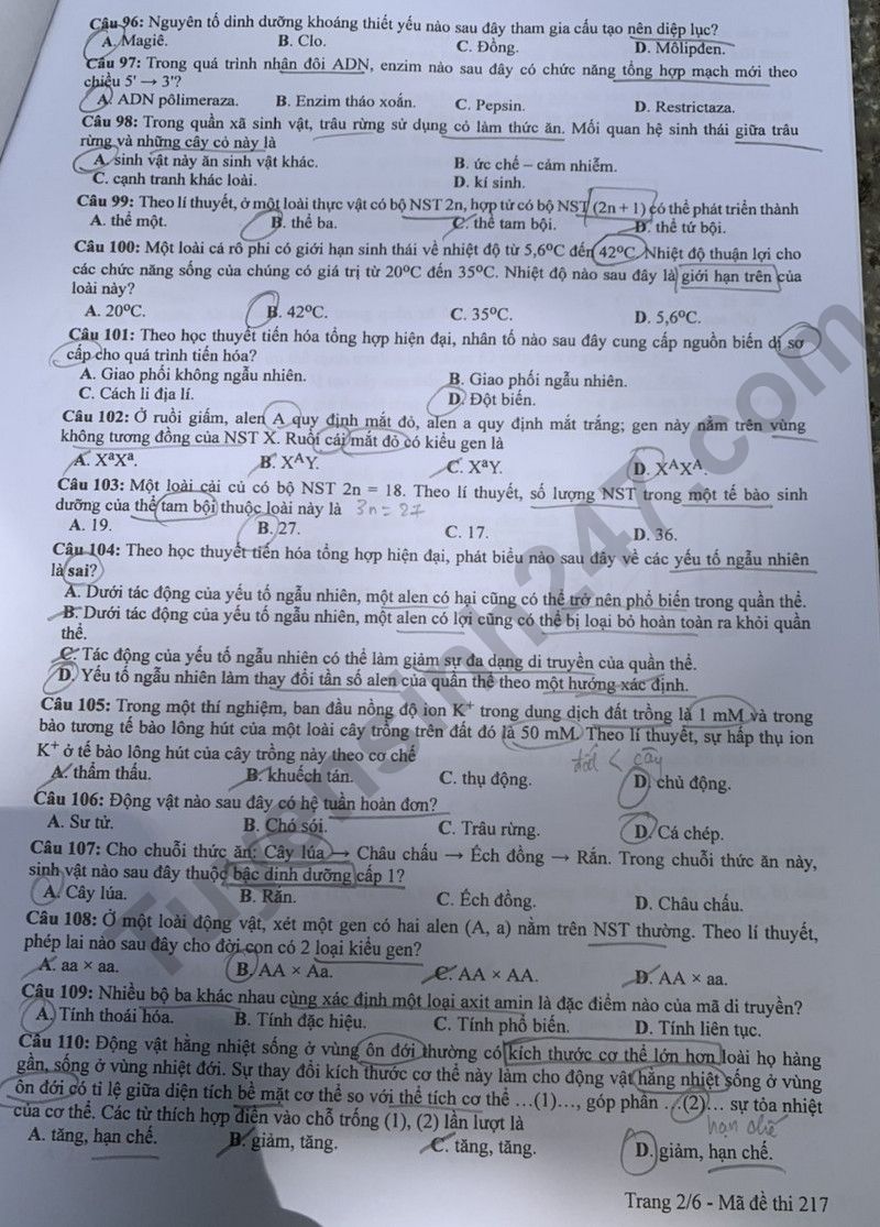 Dap an de thi tot nghiep THPT nam 2024 - mon Sinh ma de 217